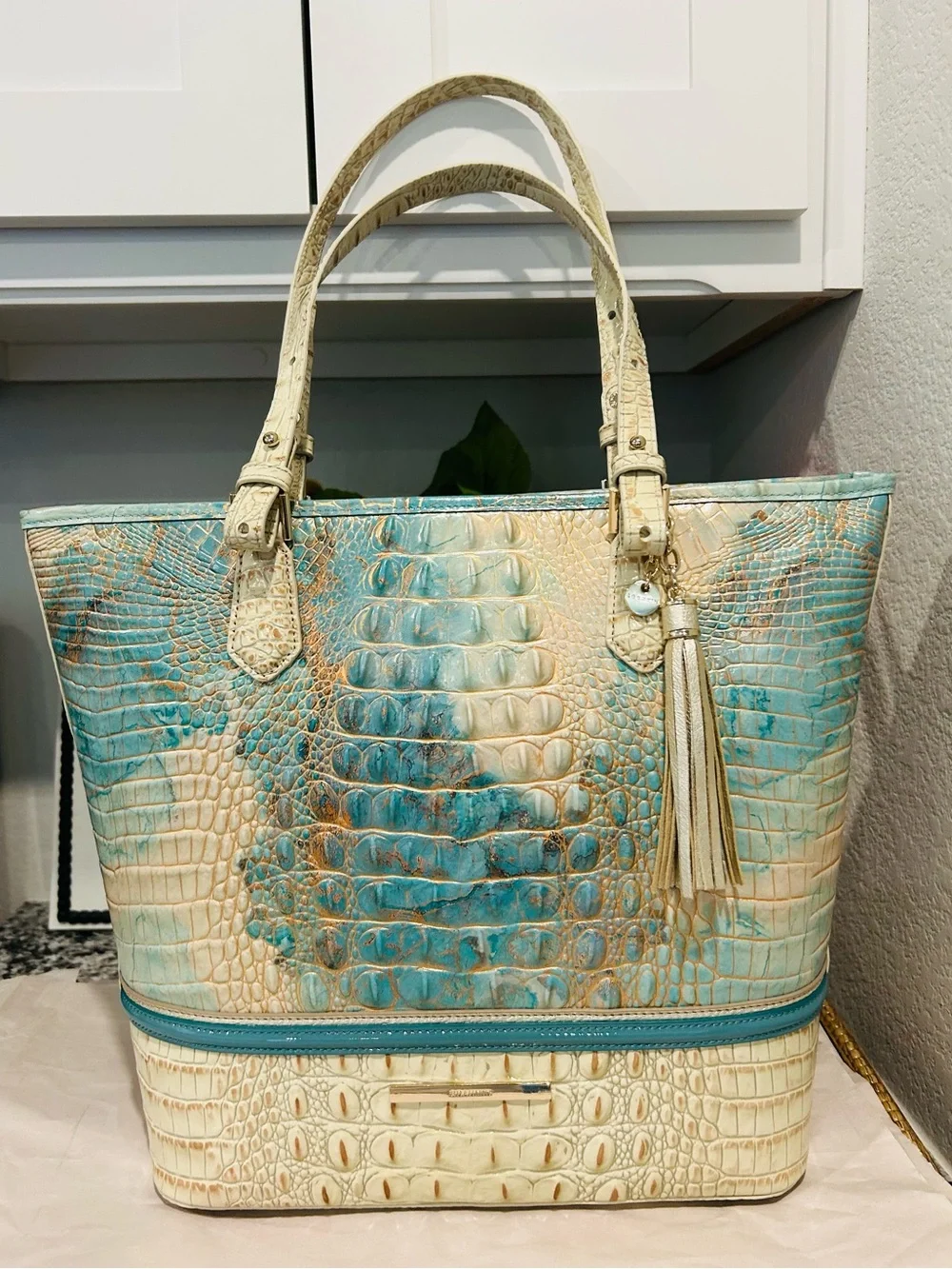 Brahmin Serendipity Schulz Asher Tote with Tassel